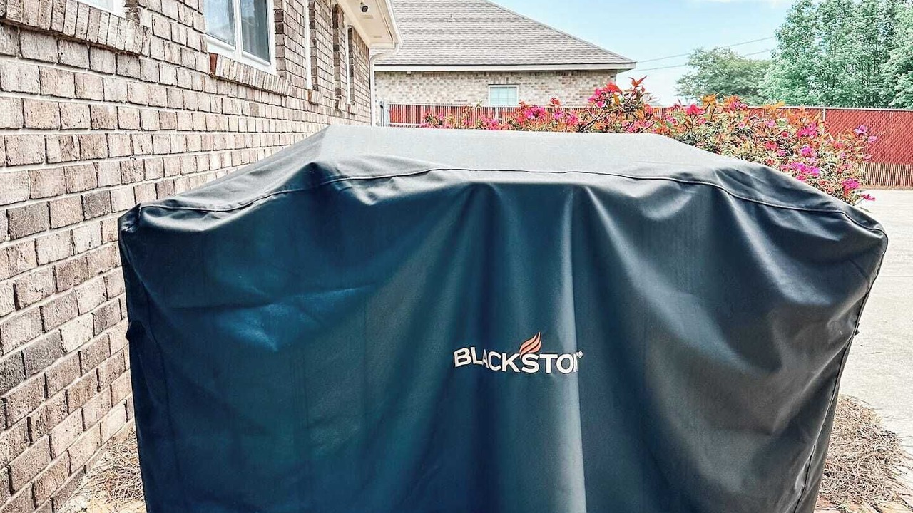 Photo of Outdoor in Forest Lake