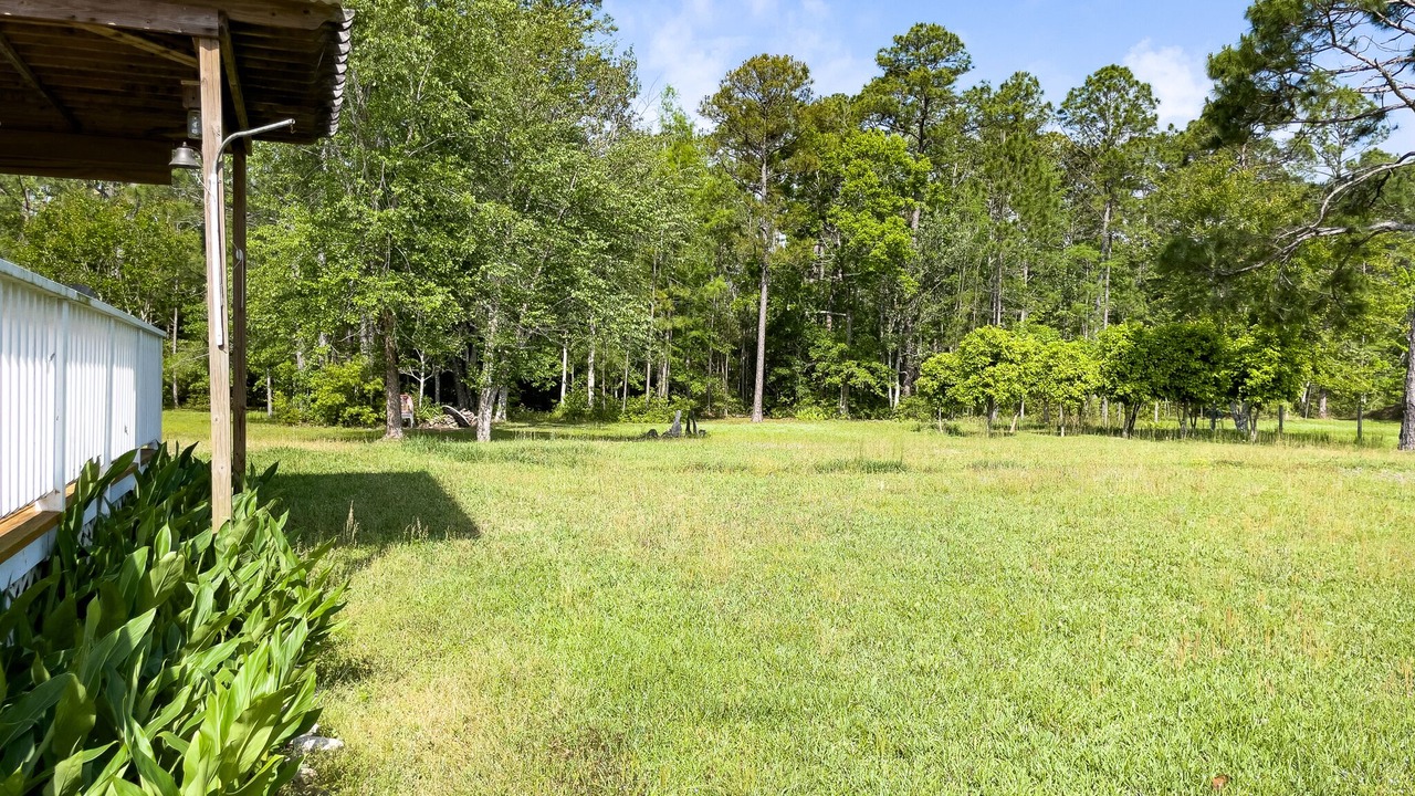Photo of Outdoor in Pensacola