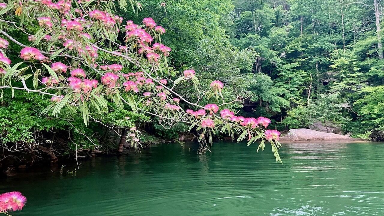 Photo of Others in Double Springs