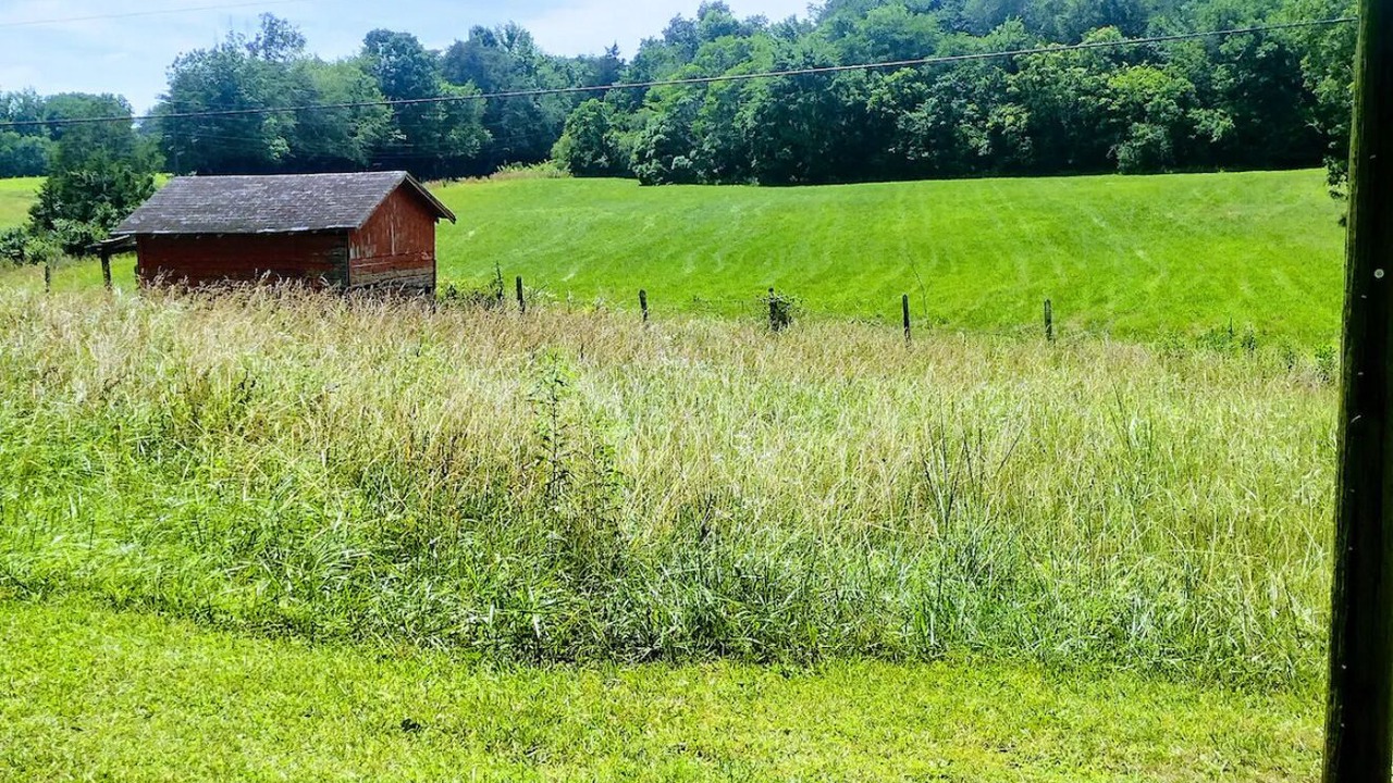 Photo of Outdoor in Killen