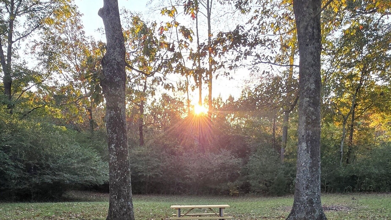 Photo of Outdoor in Arley