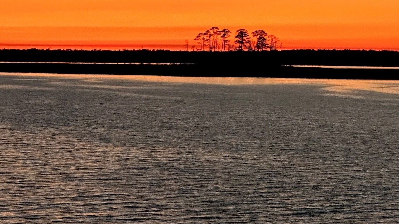 Photo of Others in Elberta