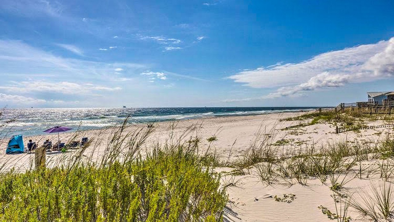 Photo of Others in Surf Side Shores