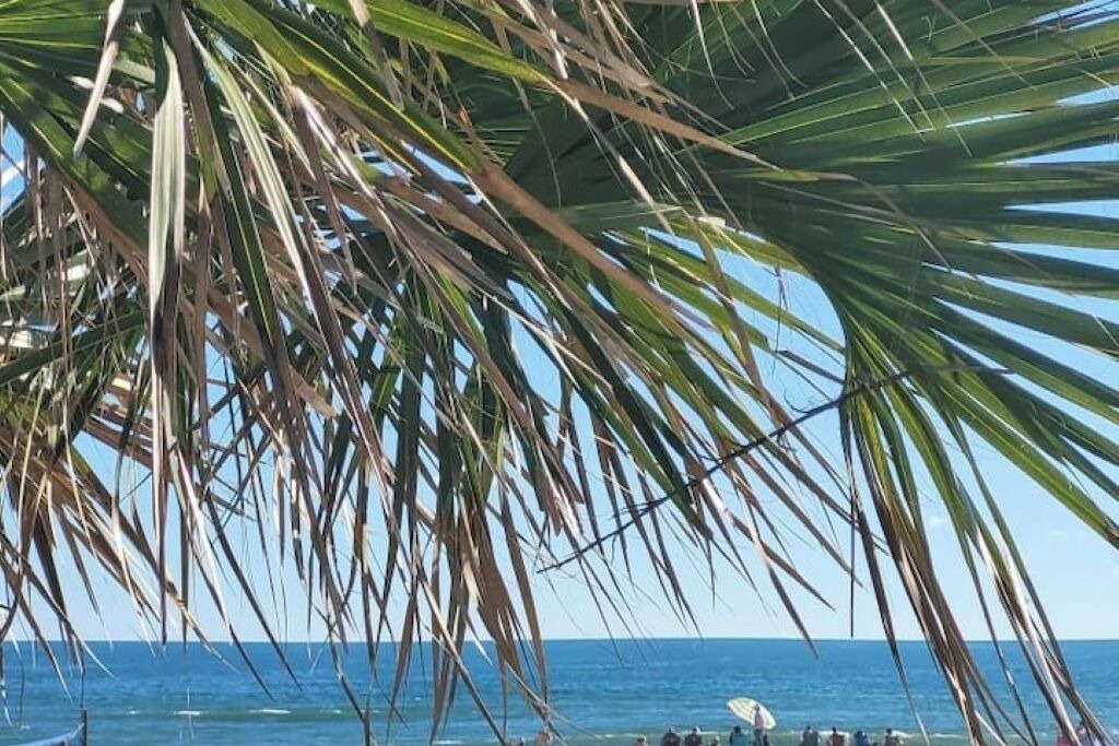 Photo of Others in Foley
