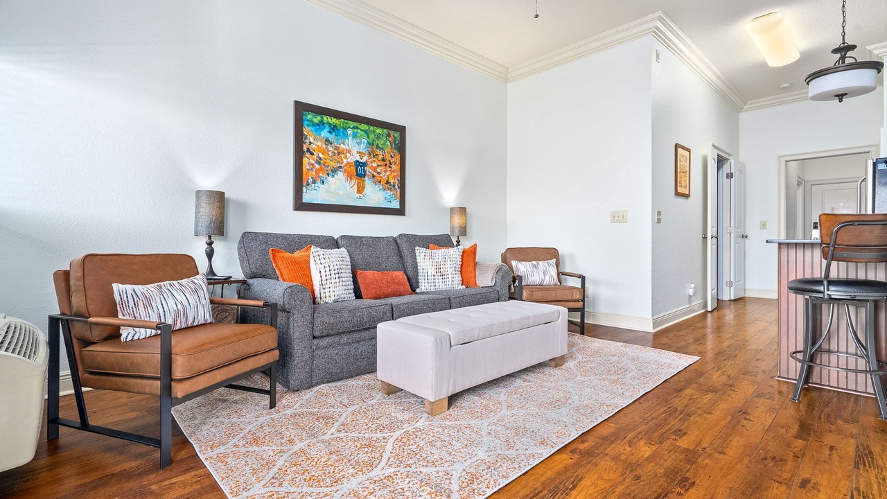 Photo of Livingroom in Auburn