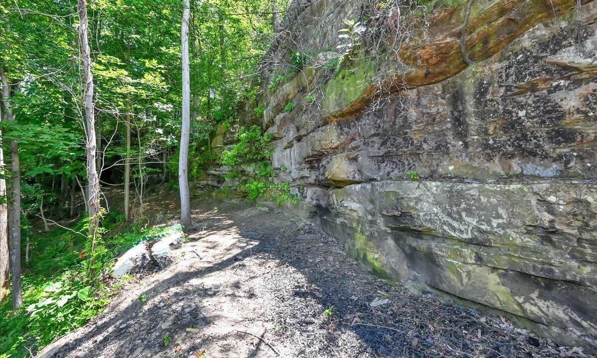 Photo of Others in Crane Hill