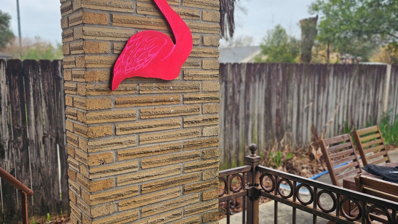 Photo of Outdoor in Mid City South