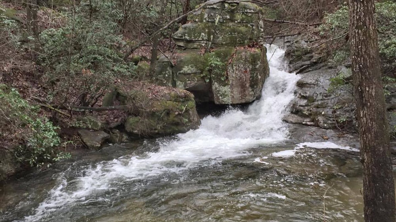 Photo of Others in Mentone
