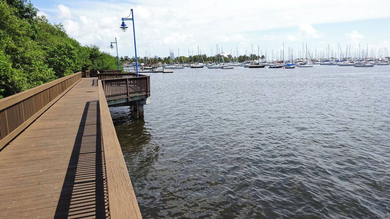 Photo of Others in Coconut Grove