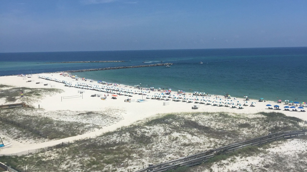 Photo of Others in Orange Beach
