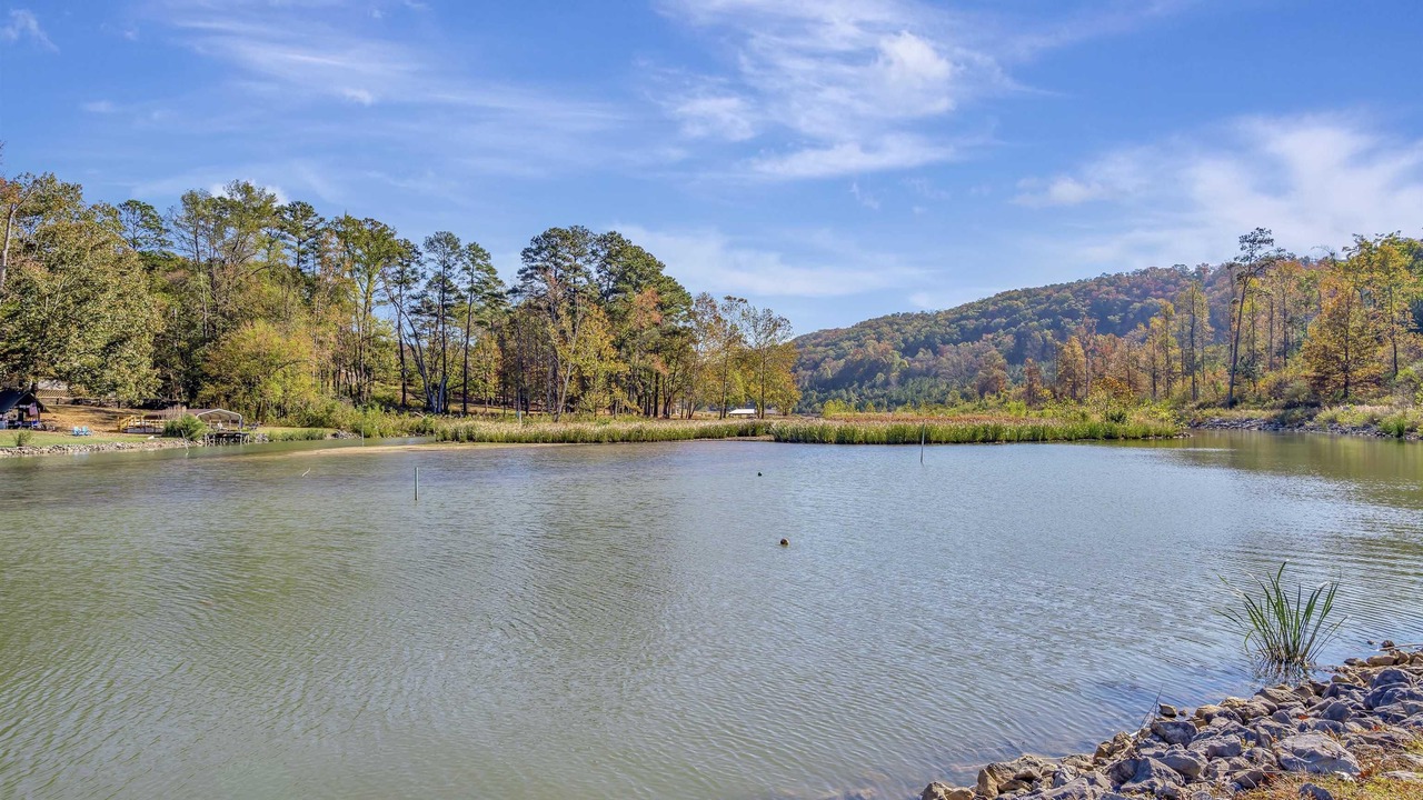 Photo of Outdoor in Guntersville