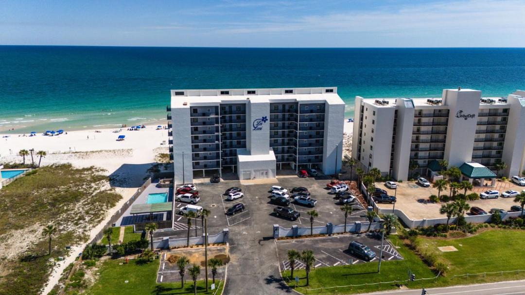 Photo of Others in Orange Beach East