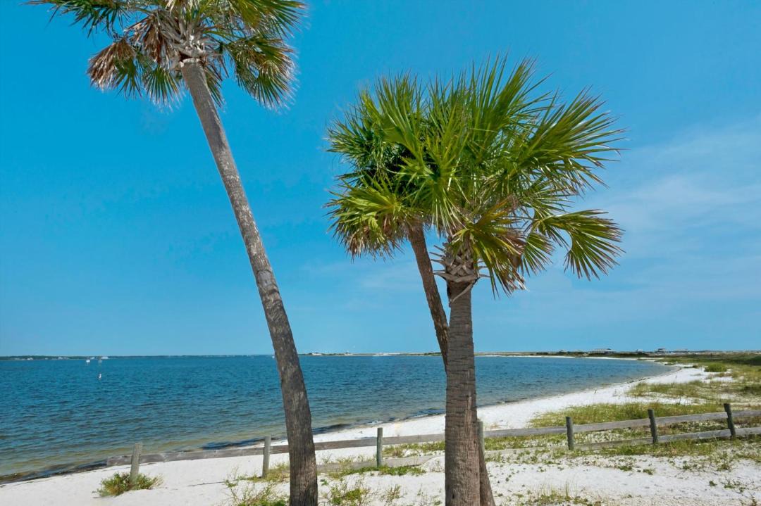 Photo of Others in Pensacola