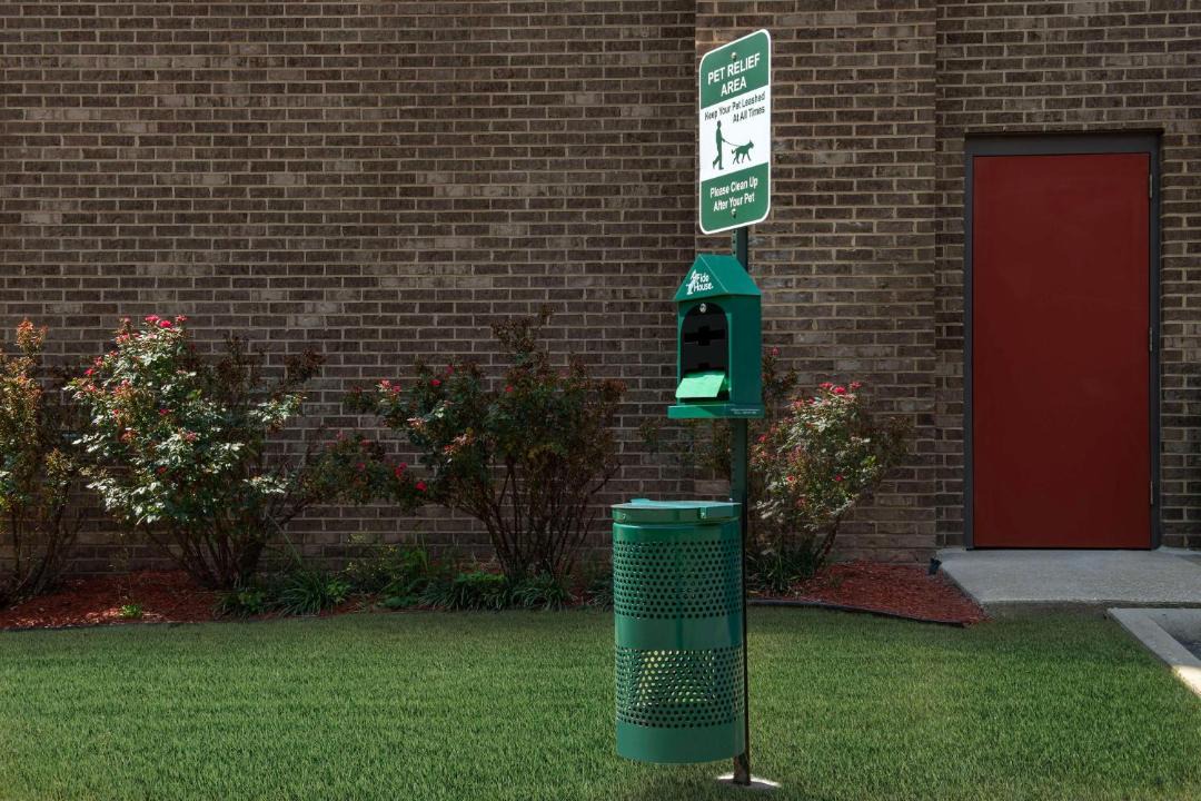 Photo of Others in Homewood