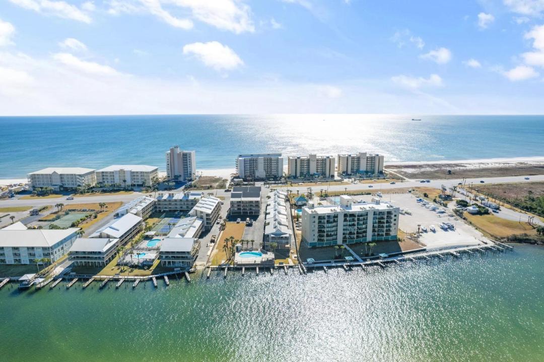 Photo of Others in Orange Beach East