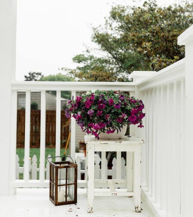 Photo of Patio Balcony in Fairhope