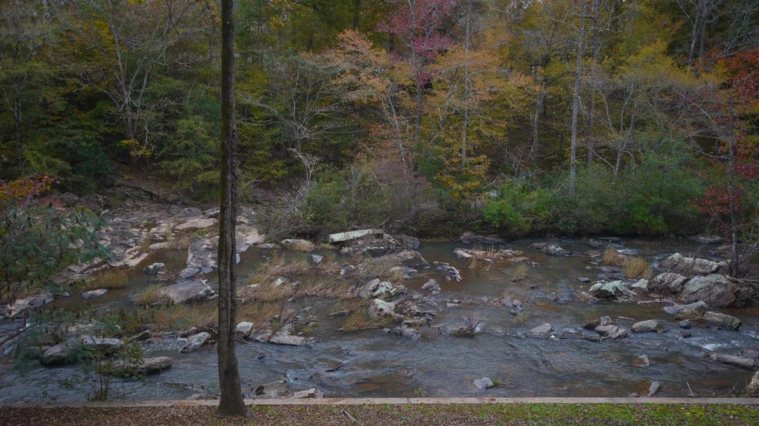 Photo of Others in Lee County