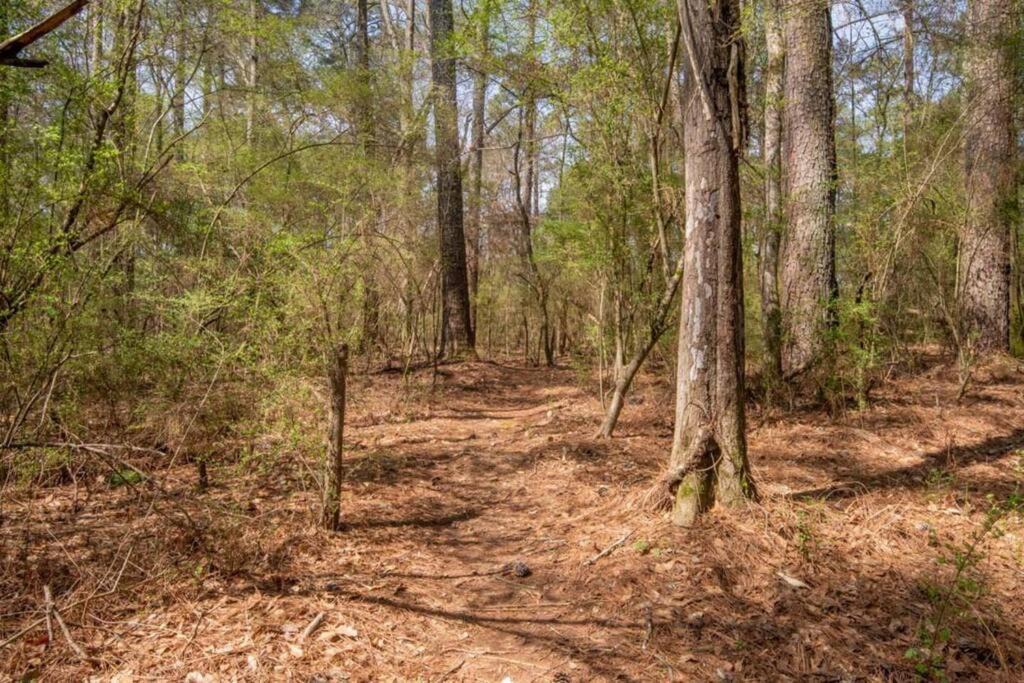 Photo of Outdoor in Guntersville