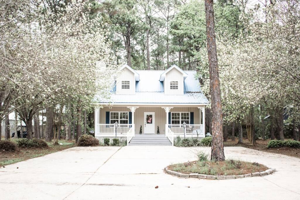 Photo of Buildings in Dauphin Island