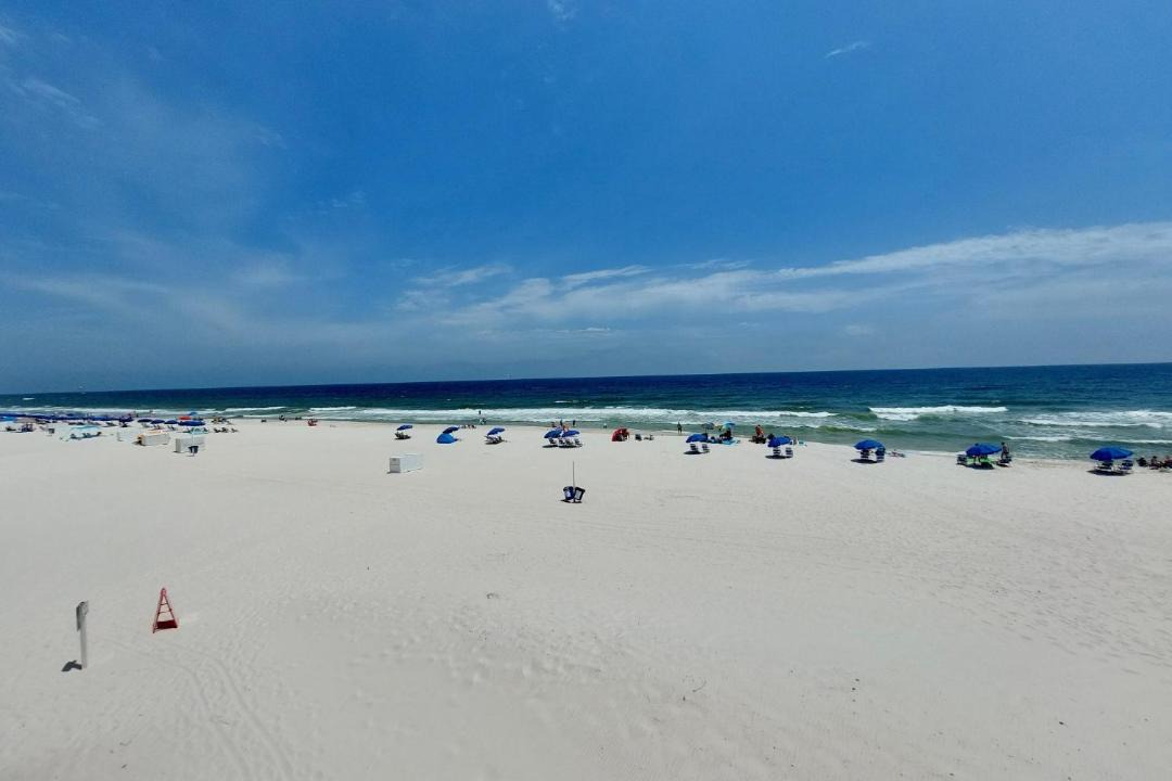 Photo of Others in Gulf Shores