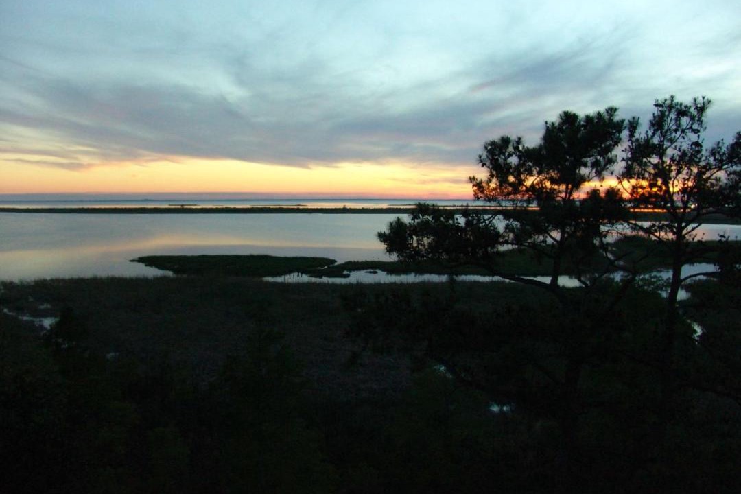 Photo of Others in Daphne