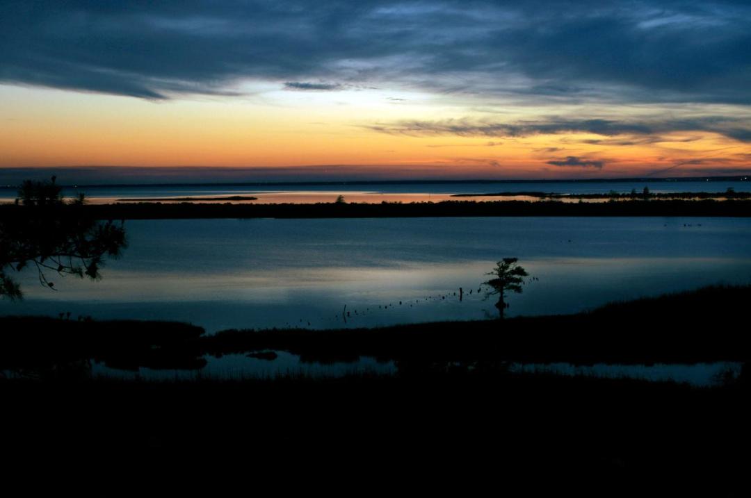 Photo of Others in Daphne