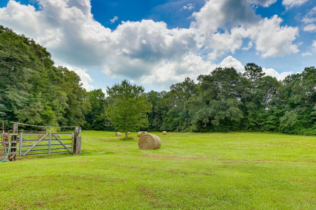 Photo of Others in Lineville