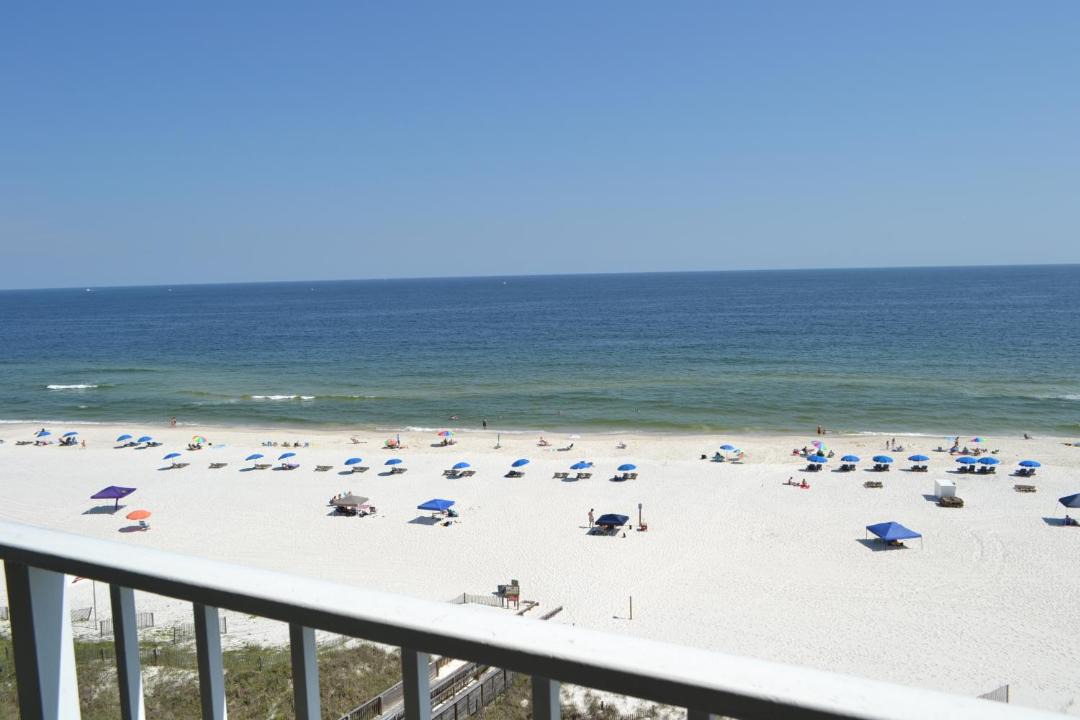 Photo of Others in Orange Beach