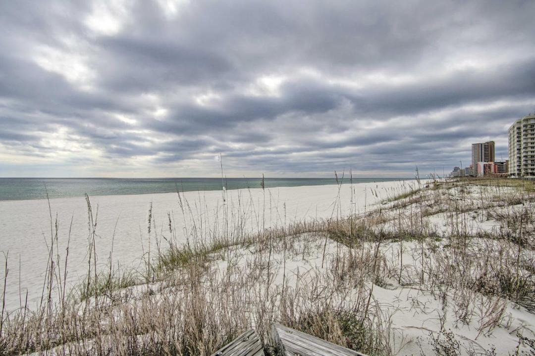 Photo of Others in Orange Beach