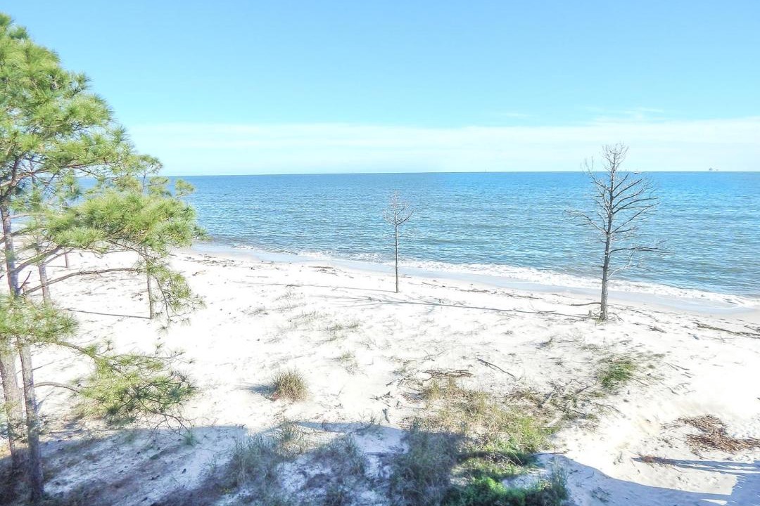 Photo of Outdoor in Dauphin Island