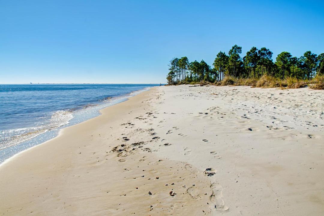 Photo of Others in Dauphin Island