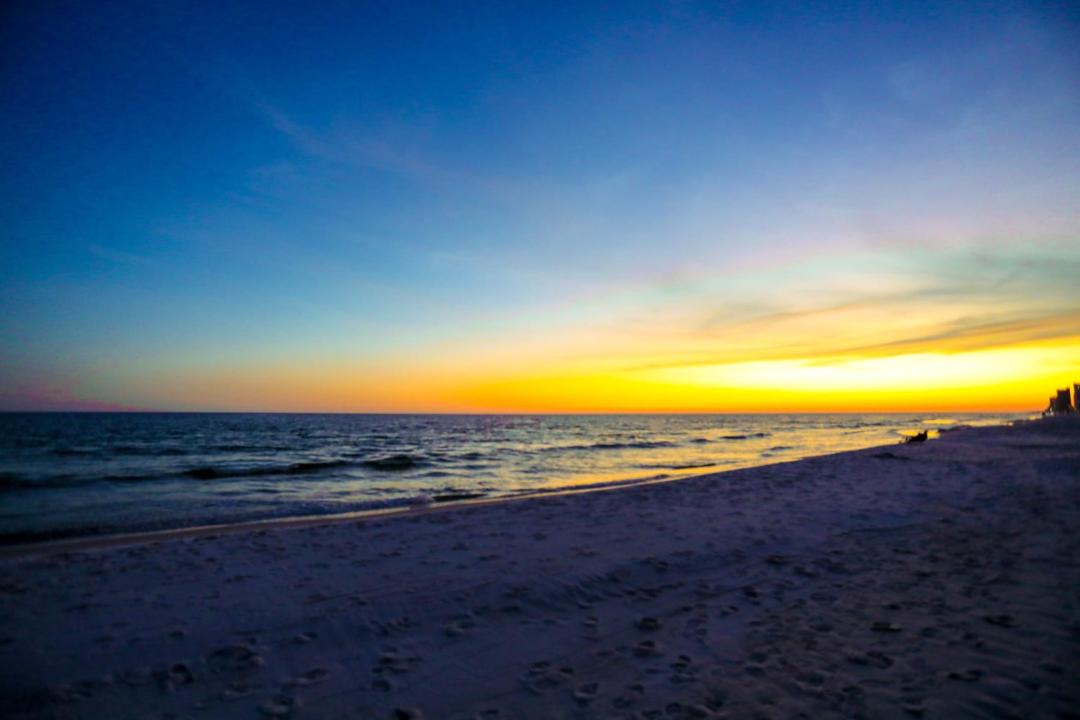 Photo of Others in Gulf Shores