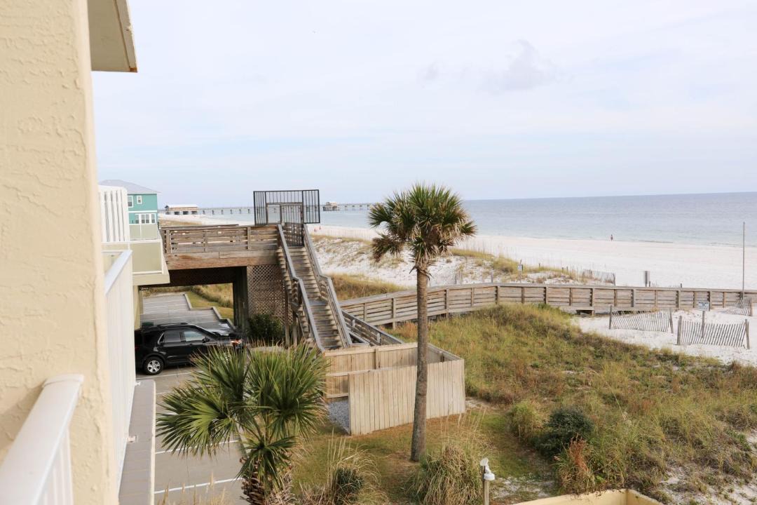 Photo of Others in Gulf Shores