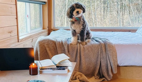Cabin, 1 Queen Bed