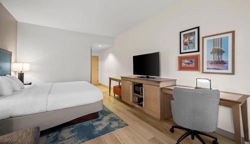 Room, 1 King Bed, Non Smoking (Study)