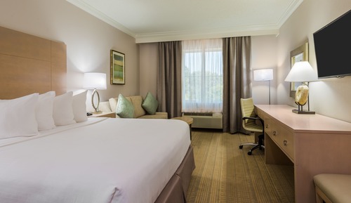 Standard Room, 1 King Bed