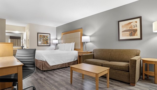 Standard Room, 1 King Bed with Sofa bed, Non Smoking, Refrigerator & Microwave (with Sofabed)