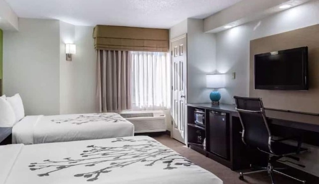 Relax in Comfort Near Busch Gardens, Adventure Island & USF Campus
