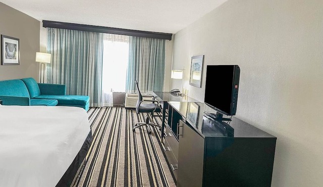 Suite - King Bed|Jackson